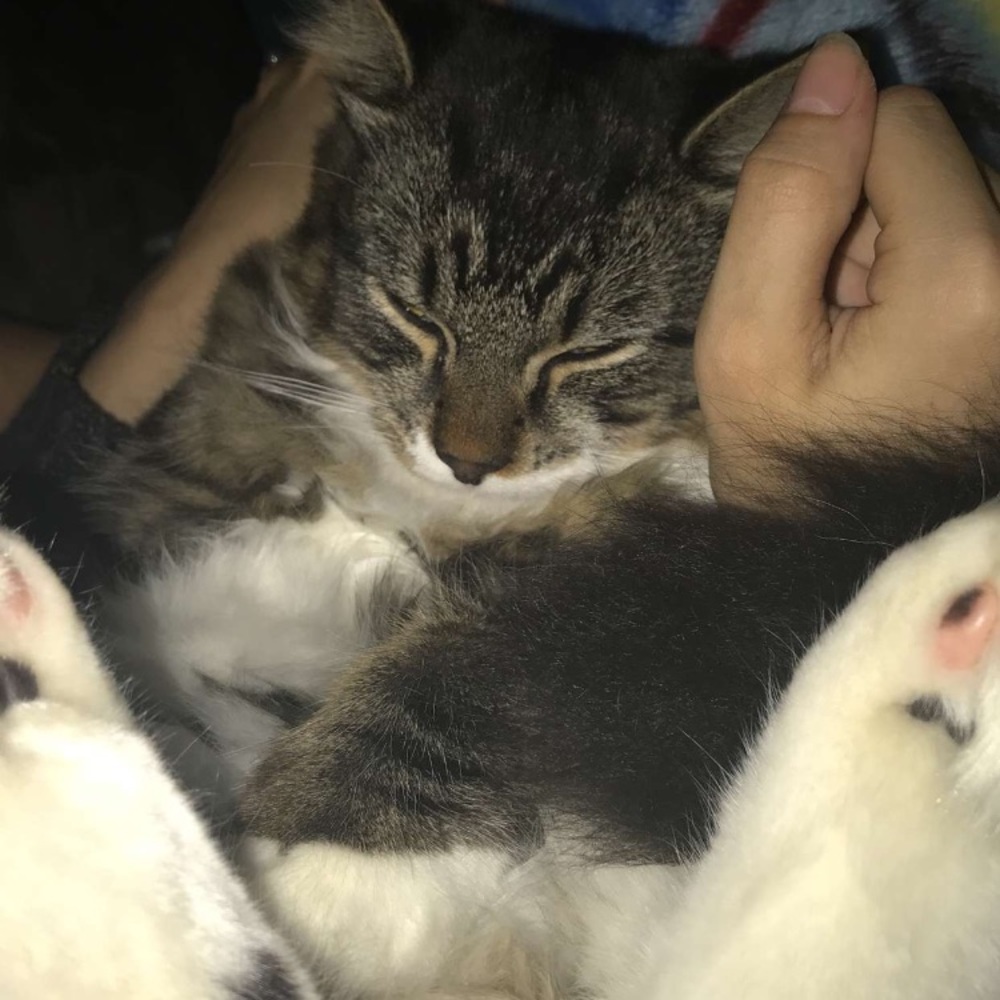 Meet your Posher, Lily