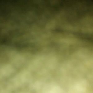 Meet your Posher, Yolanda