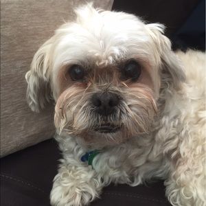 Meet your Posher, Kathie