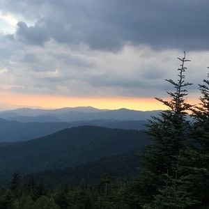 Meet your Posher, Alvaro