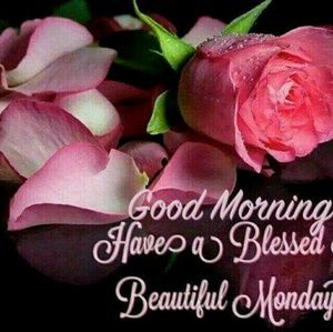 Meet your Posher, Ndeye