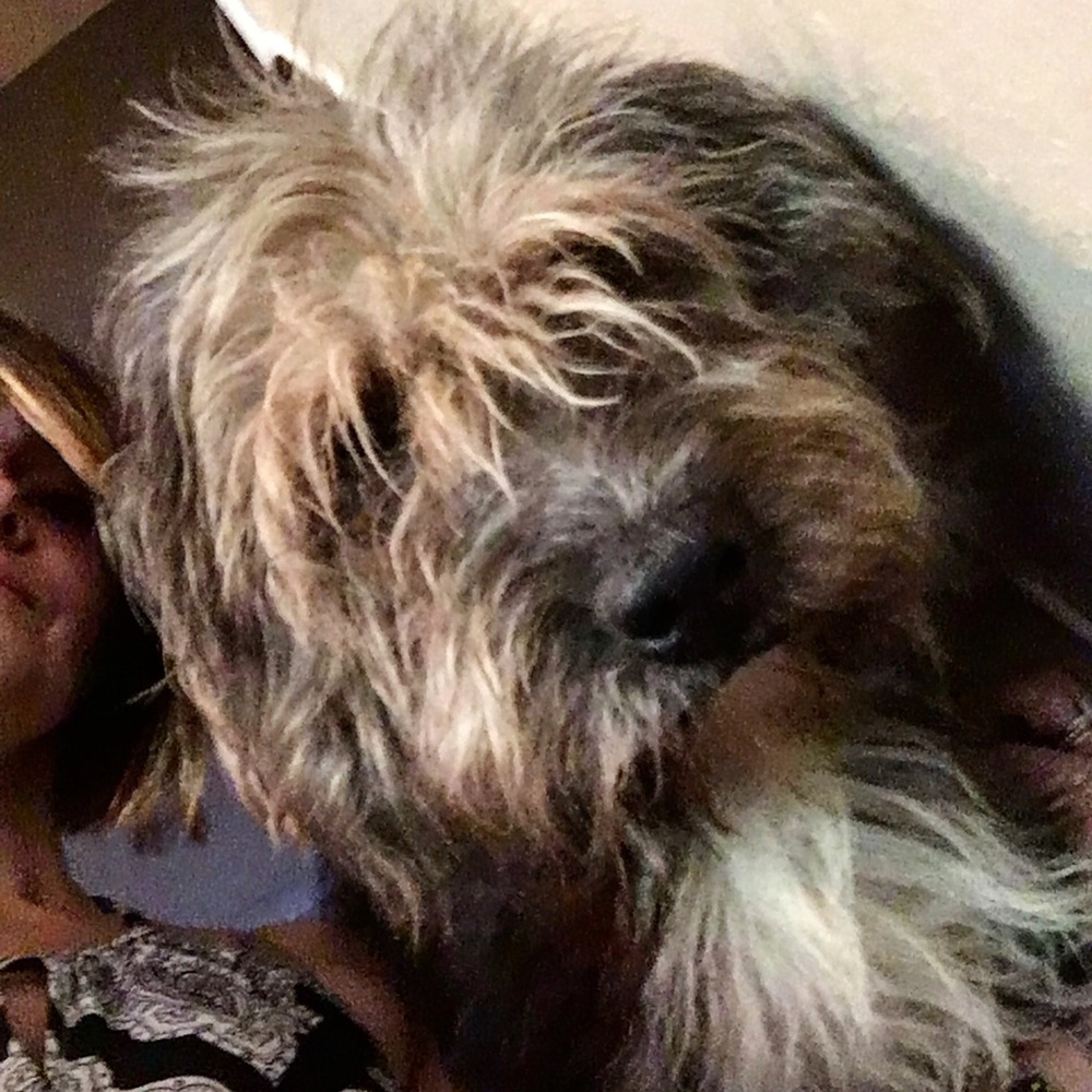 Meet your Posher, Crystal