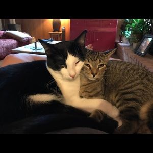 Meet your Posher, Brenda