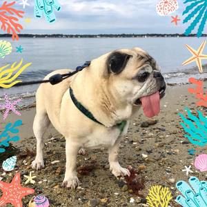 Meet your Posher, Kathleen