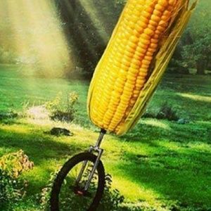 Meet your Posher, Christian