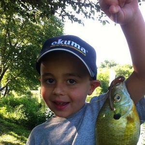 Meet your Posher, Dorothy