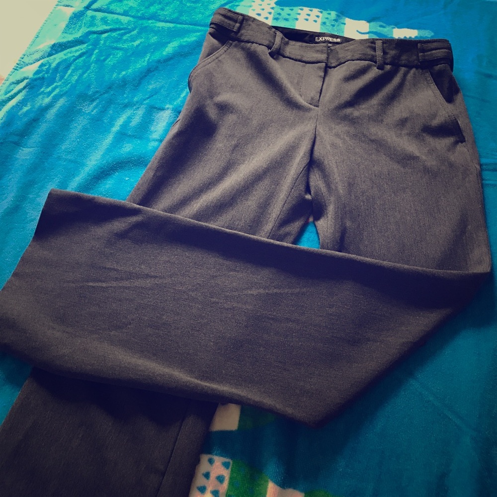 Express Dressy Pants