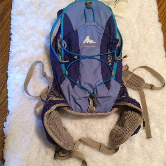 Gregory Other - Gregory Back Pack Excellent Condition Price Firm