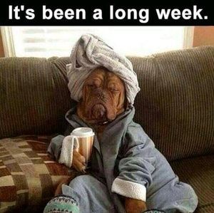 Meet your Posher, Gloria