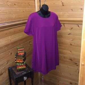 Solid purple shift Dress NWT large