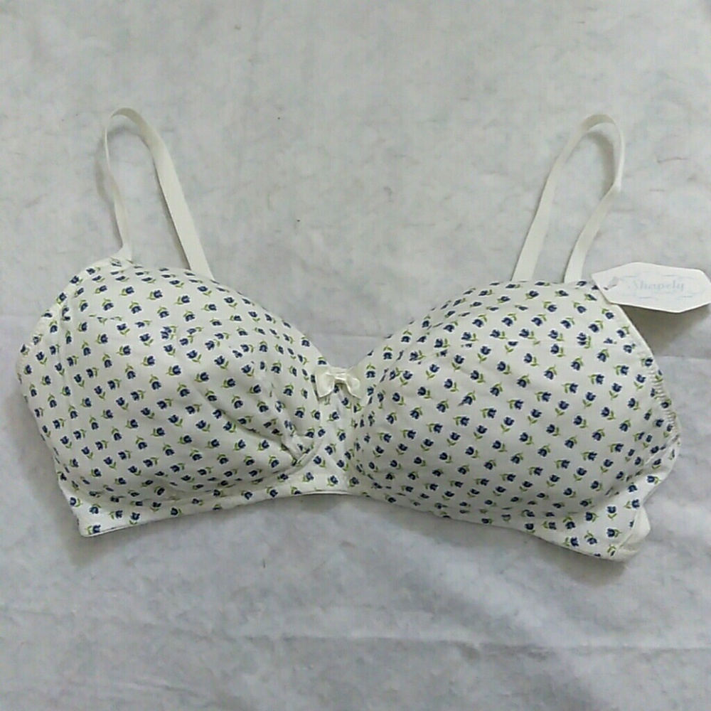 Shapely Figures Bra