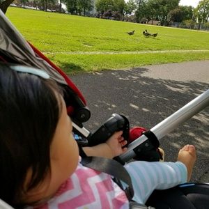 Meet your Posher, Ana