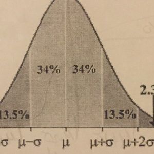 Meet your Posher, Bryce