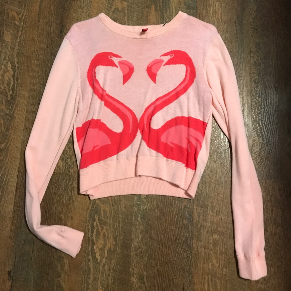 H&m fun flamingo sweater