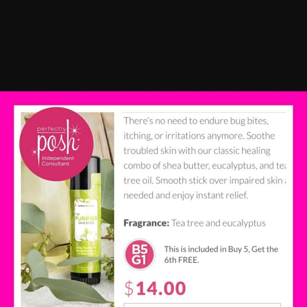 Perfectly posh Purifier Skin stick