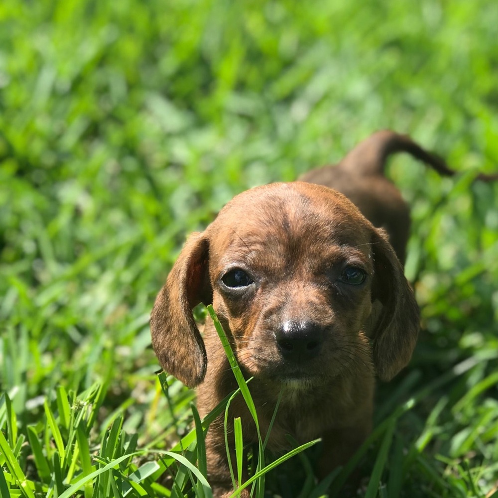 Meet your Posher, Aubrey