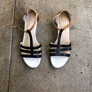 Calvin Klein color clock kitten wedge sandals
