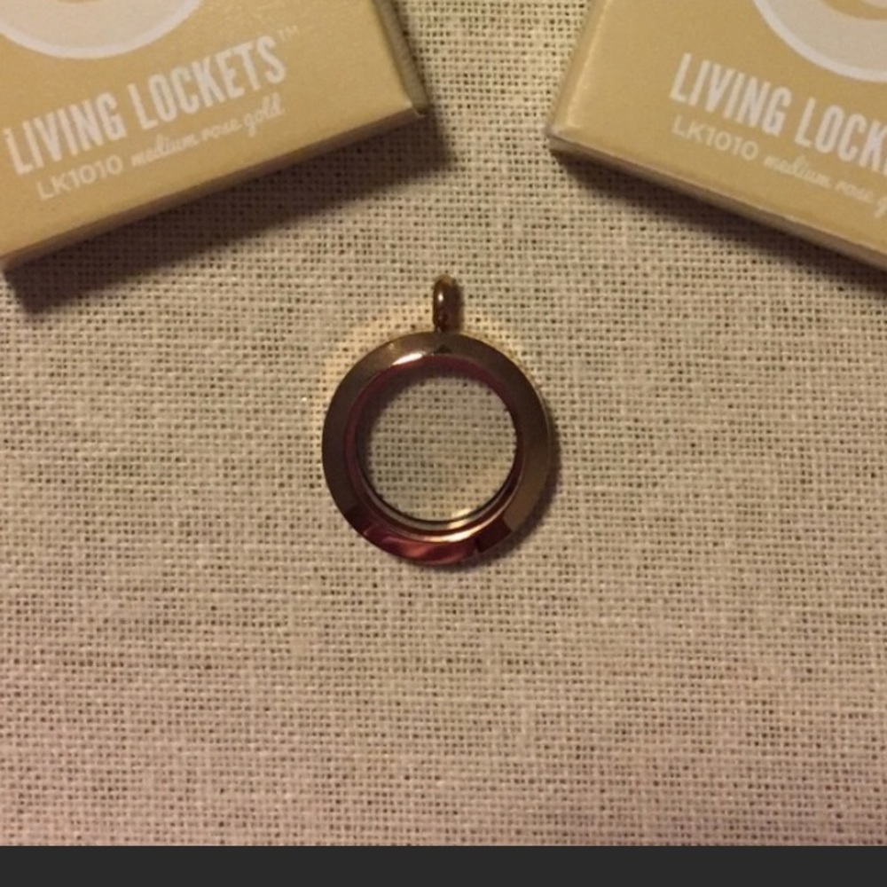 Origami Owl medium classic rose gold locket