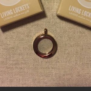 Origami Owl medium classic rose gold locket