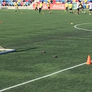 Meet your Posher, Armando