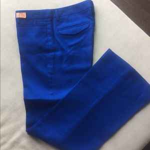 GAP- Royal blue Modern boot pant