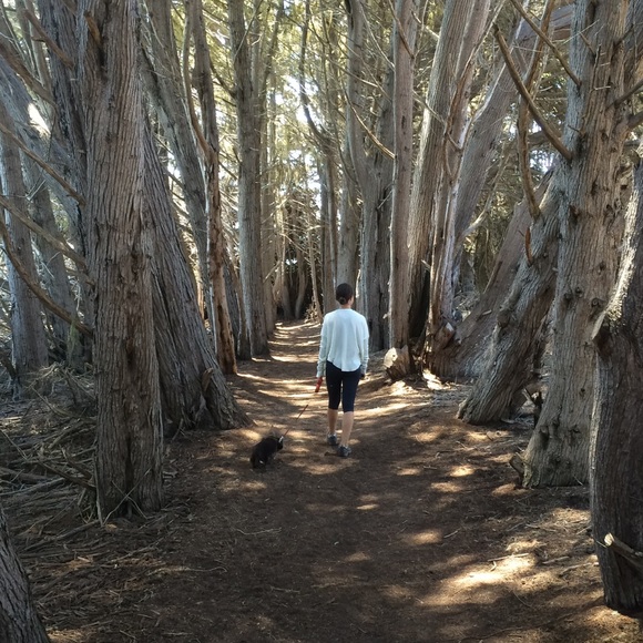 Meet your posher, Kristin - Picture 2 of 4