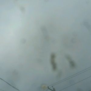 Meet your Posher, Mayleen