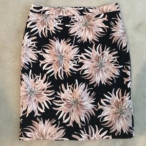 NWOT Beautiful ANN TAYLOR skirt