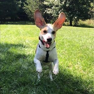 Meet your Posher, Cameron