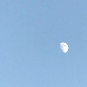 Meet your Posher, Reginald