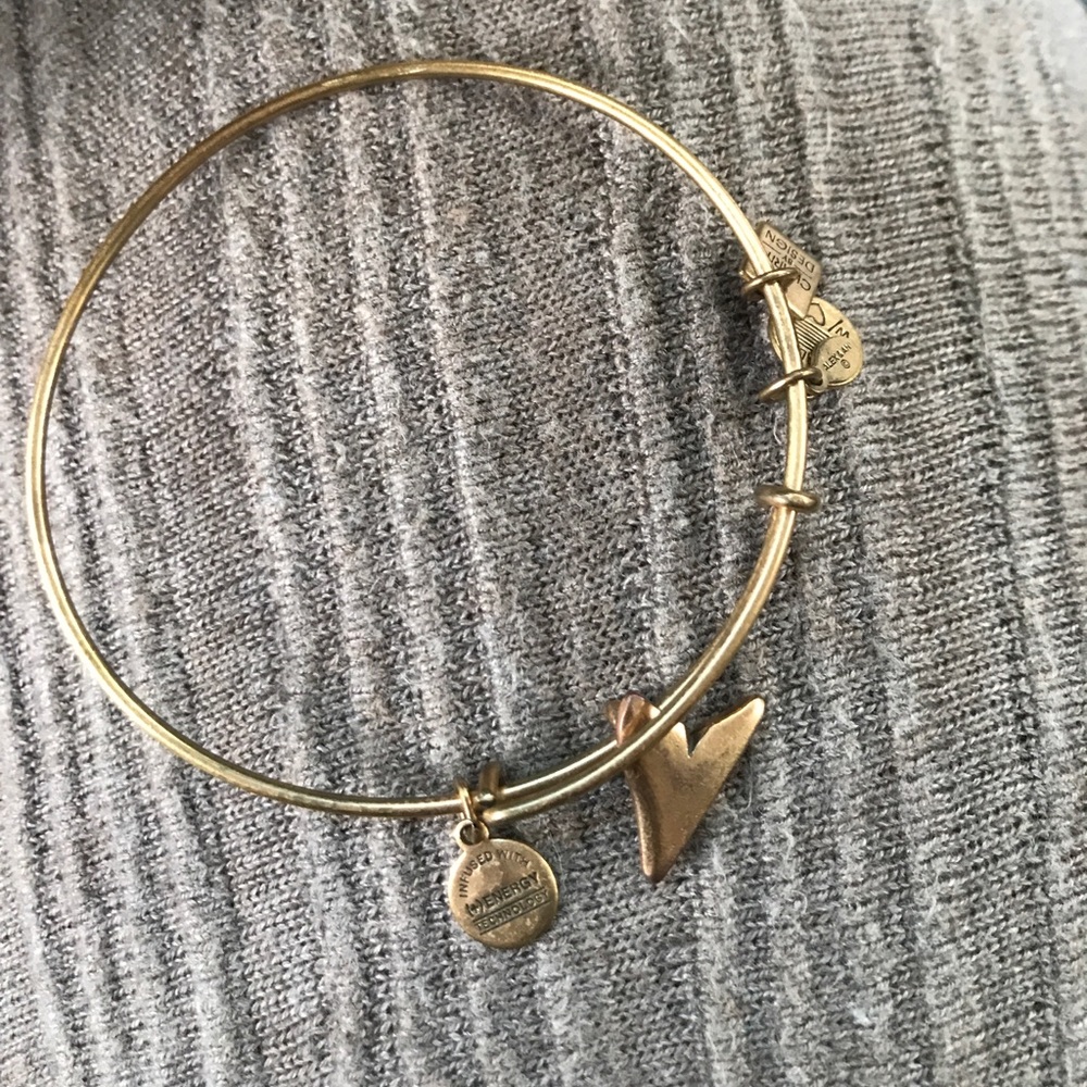 Alex and Ani shark tooth