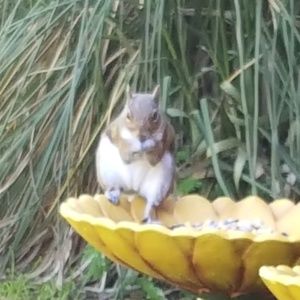 Meet your Posher, Jamie