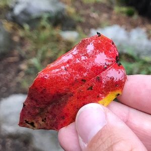 Meet your Posher, Maris