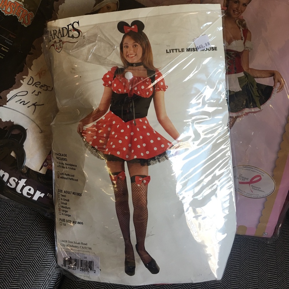 Minnie Mouse Costume