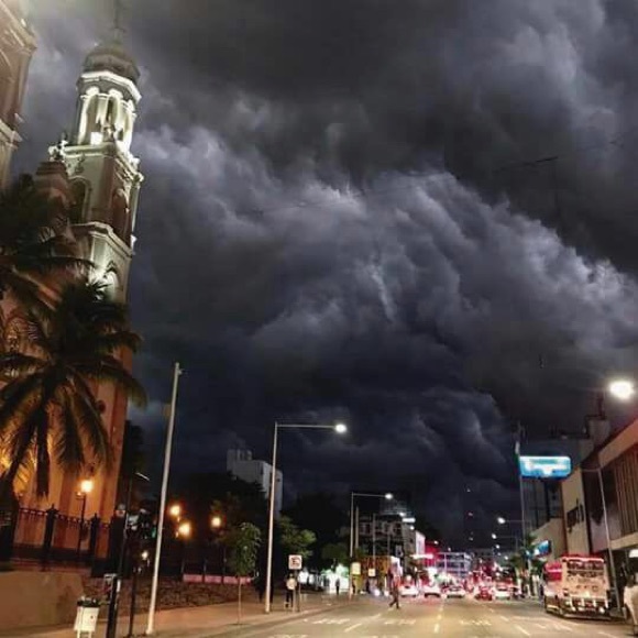 Meet your Posher, Roxanne - Picture 1 of 1