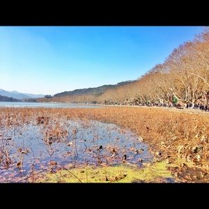 Meet your Posher, Cong