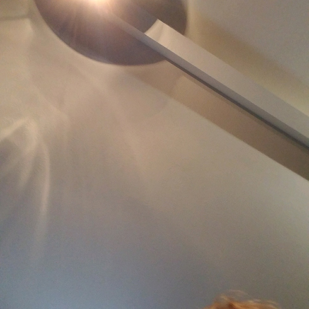 Meet your Posher, Hayley