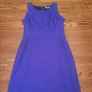 J.Crew Dress