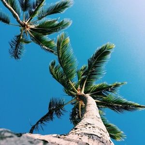 Meet your Posher, Mariel