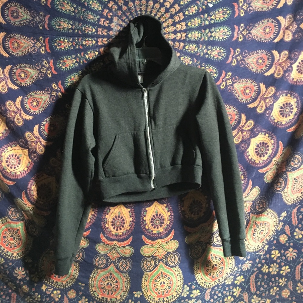 American Apparel cropped sweater