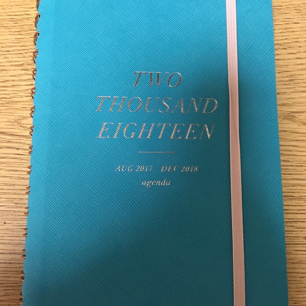 Brand new 2018 Blue and Rose Gold Planner!