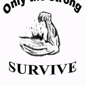 Meet your Posher, Walter