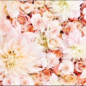 Meet your Posher, Ella