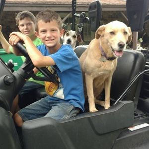 Meet your Posher, Liz gillie