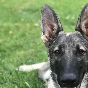 Meet your Posher, Jon