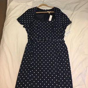 Eva Mendes New York & Co navy blue polka dot dress
