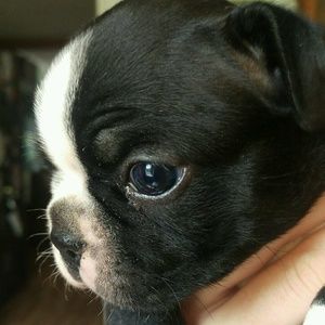 Meet your Posher, Elle