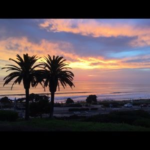 Meet your Posher, Kerrie