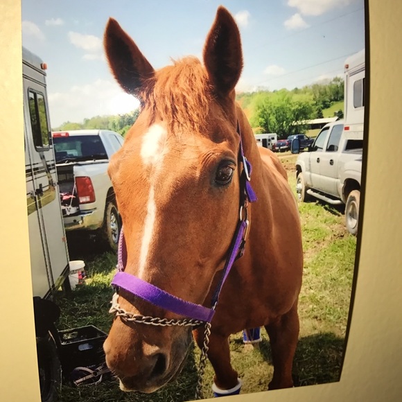 Meet your Posher, Hannah - Picture 1 of 1