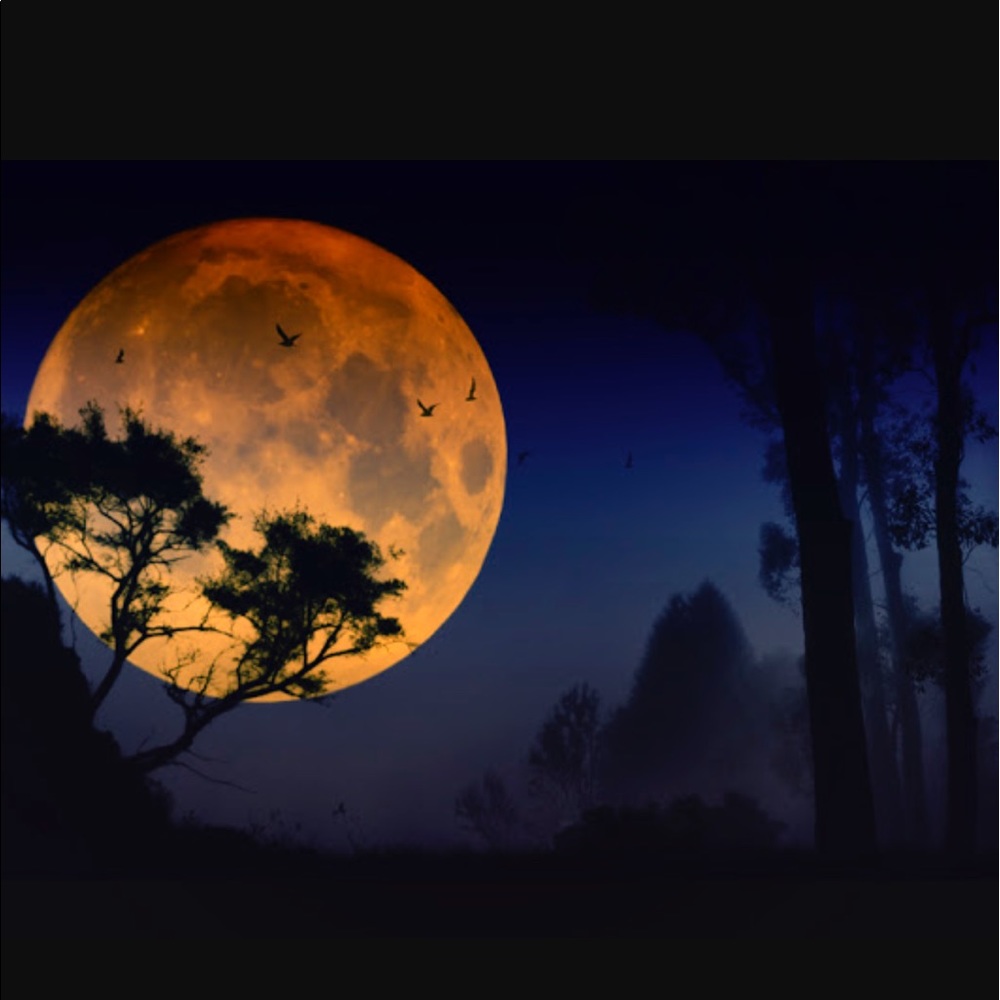 Meet your Posher, Victor